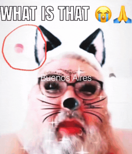 Aggresive Fart Freaky Rizz Meme