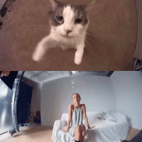 Aghostisawish Olivia Rodrigo GIF