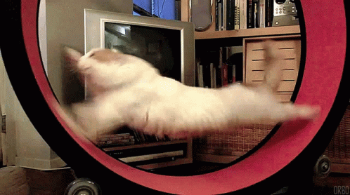 Ahmet GIF