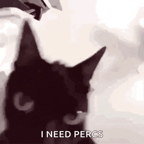Ahoklollmao Angry Cat GIF