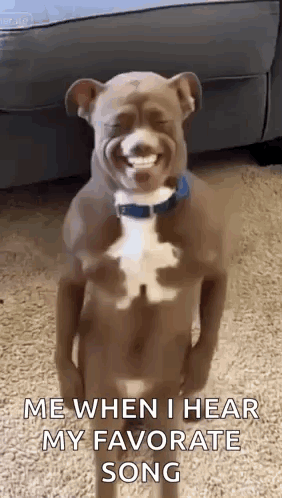 Ai Ai Dog GIF