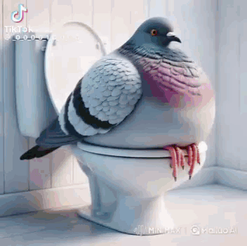 Ai Pigeon Pigeon Ai GIF. This 352 x 350 animated GIF is part of our funny pigeon collection. Created by Comecome716. View the original animation, share it…
