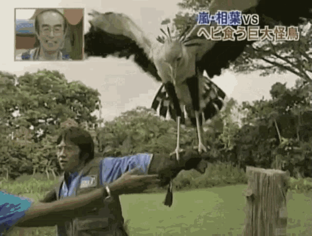 Aiba Masaki Aiba GIF