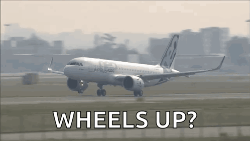 Airbus Plane GIF