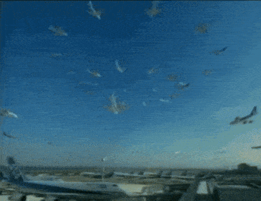 Airplane Ana GIF