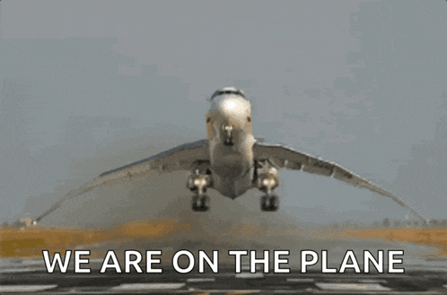 Airplane Flapping Wings GIF