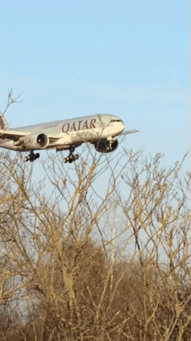 Airplane GIF