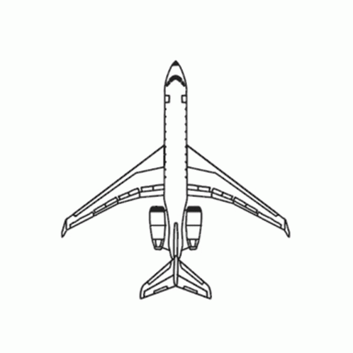 Airplane GIF