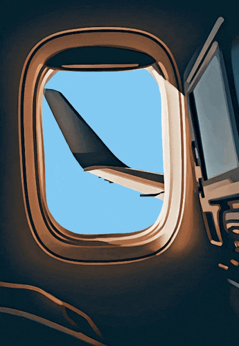 Airplane Plane Window GIF