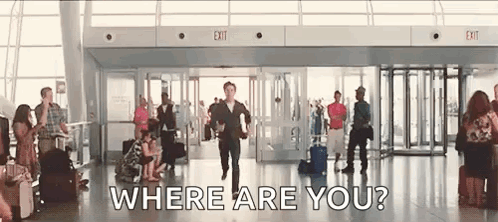Airport Love GIF