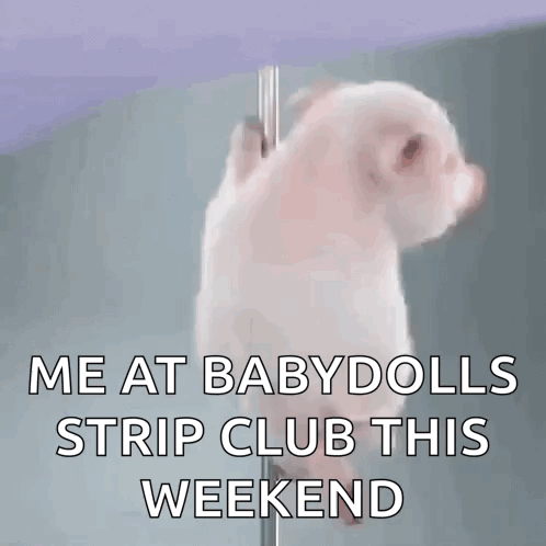 Akademiks Chat By The Chat GIF. This 498 x 498 animated GIF is part of our lustige freitags bilder collection. Created by Elisa82. View the original…