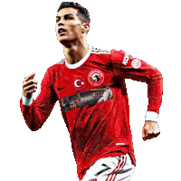 Akallar Sk Ronaldo Sticker