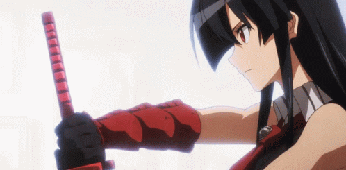 Akame Ga Kill Akame GIF