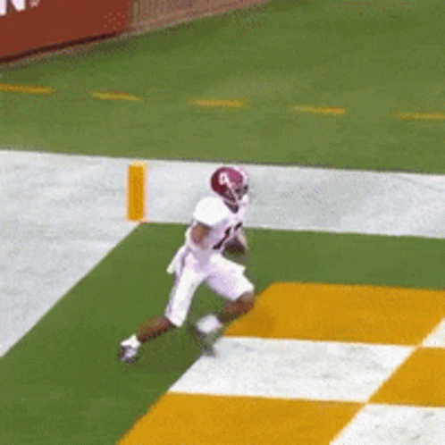 Alabama Roll Tide GIF