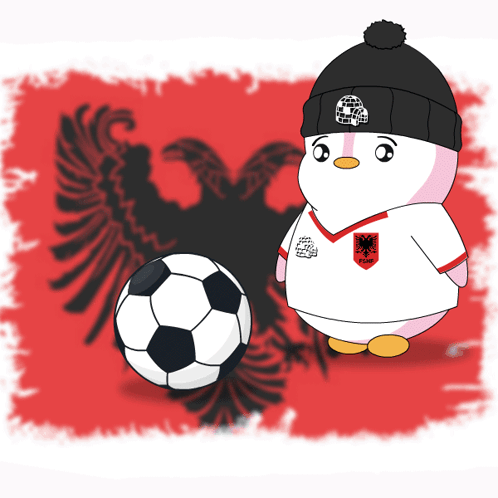 Albania Soccer GIF