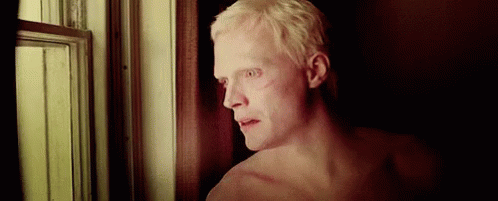 Albino GIF. This 498 x 201 animated GIF is part of our self flagellation collection. View the original animation, share it, or browse related GIFs.