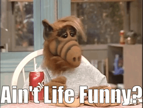 Alf Aint Life Funny GIF