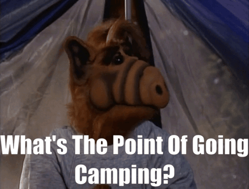 Alf What'S The Point GIF