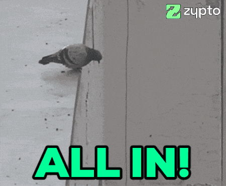 All In Bird GIF