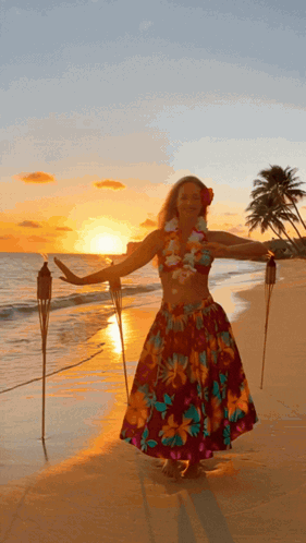 Allieranae Allieranae Hula GIF