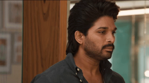 Allu Arjun Avpl GIF