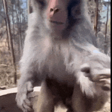 Allypally Allypallyxcx GIF