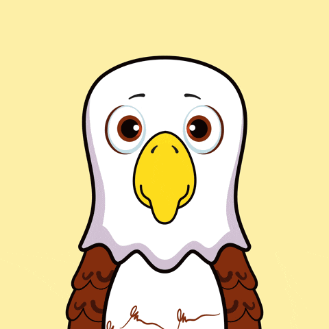 Almost Friday Bird GIF