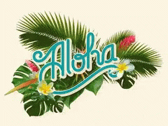 Aloha Hawaii GIF