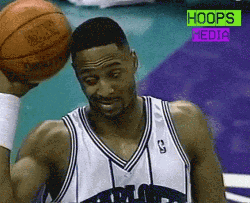 Alonzo Mourning Hornets GIF