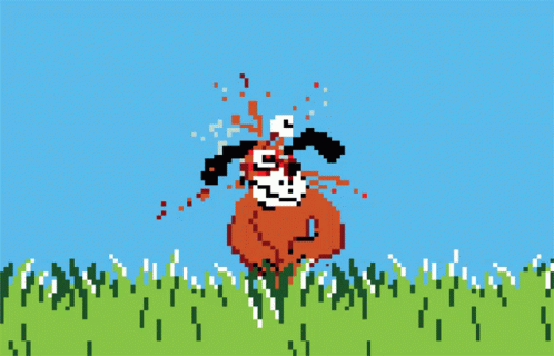 Alpakita Video Game GIF
