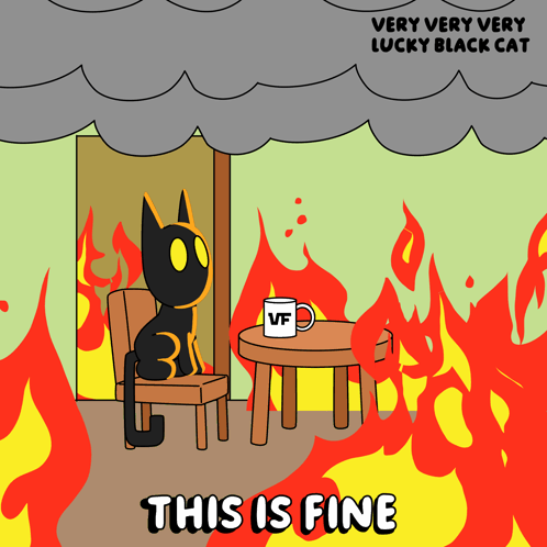Alright Black Cat GIF. This 498 x 498 animated GIF is part of our okay meme black guy collection. Related themes include burn, cat, cool. Created by…
