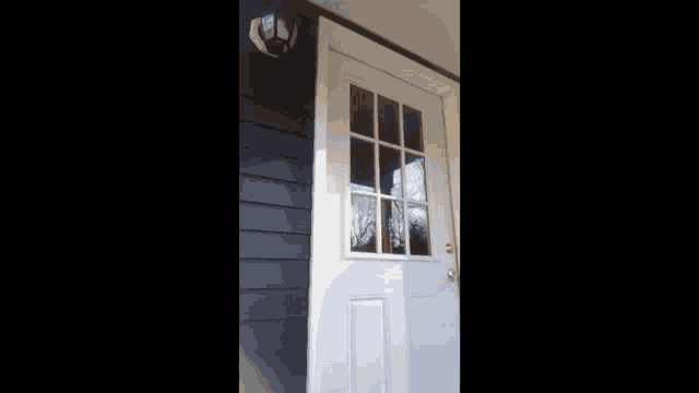 Amazon Delivery GIF