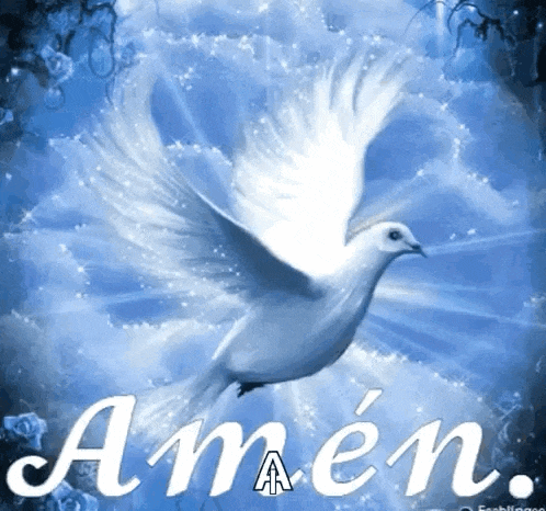 Amen Paloma GIF