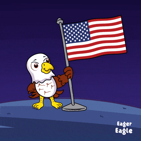 Amer Ameri GIF