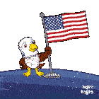 Amer Ameri Sticker