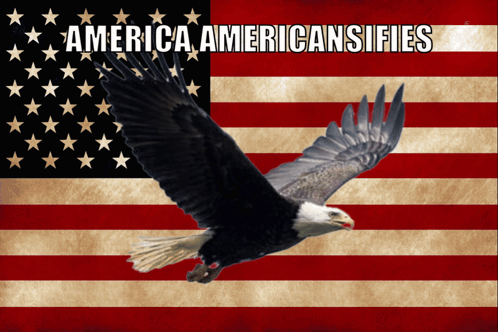 America Amurica GIF