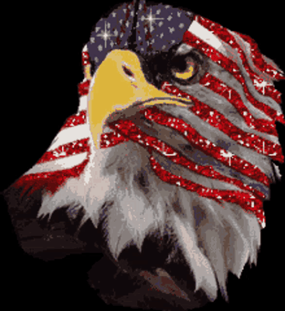 America Eagle GIF