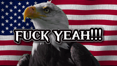 America Freedom GIF