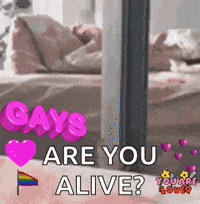 America Gay America F Yeah GIF