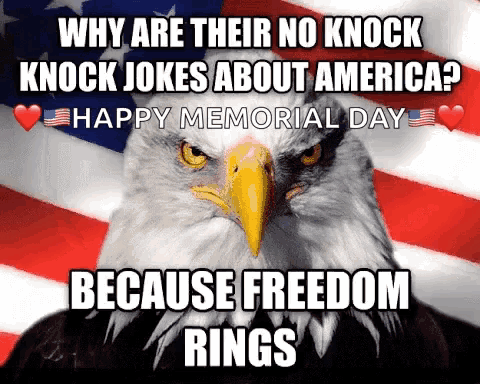 America Muricah GIF