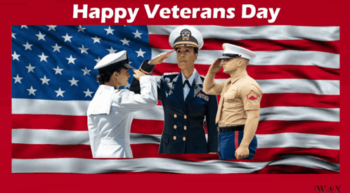 American Flag Courage GIF. This 498 x 275 animated GIF is part of our happy veterans day 2024 collection. Related themes include american flag, salute…