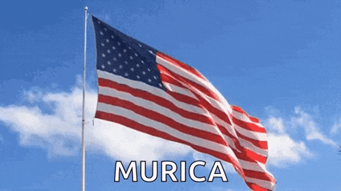American Flag Murica GIF