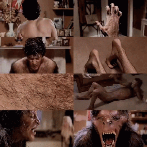 American Werewolf In London Werewolf GIF