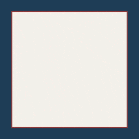 Americanindependence Americanpride GIF