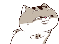 Ami Fat Cat Eyebrow Raise Sticker