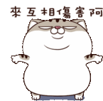 Ami Fat Cat Lets Do This Sticker