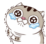 Ami Fat Cat Please Sticker