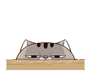 Ami Fat Cat What Is That Sticker