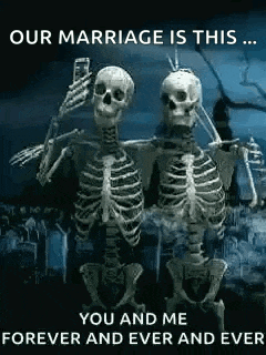 Amigos Selfie GIF
