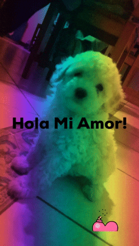 Amor GIF